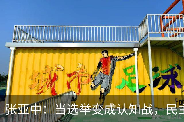张亚中：当选举变成认知战，民主还有意义吗
